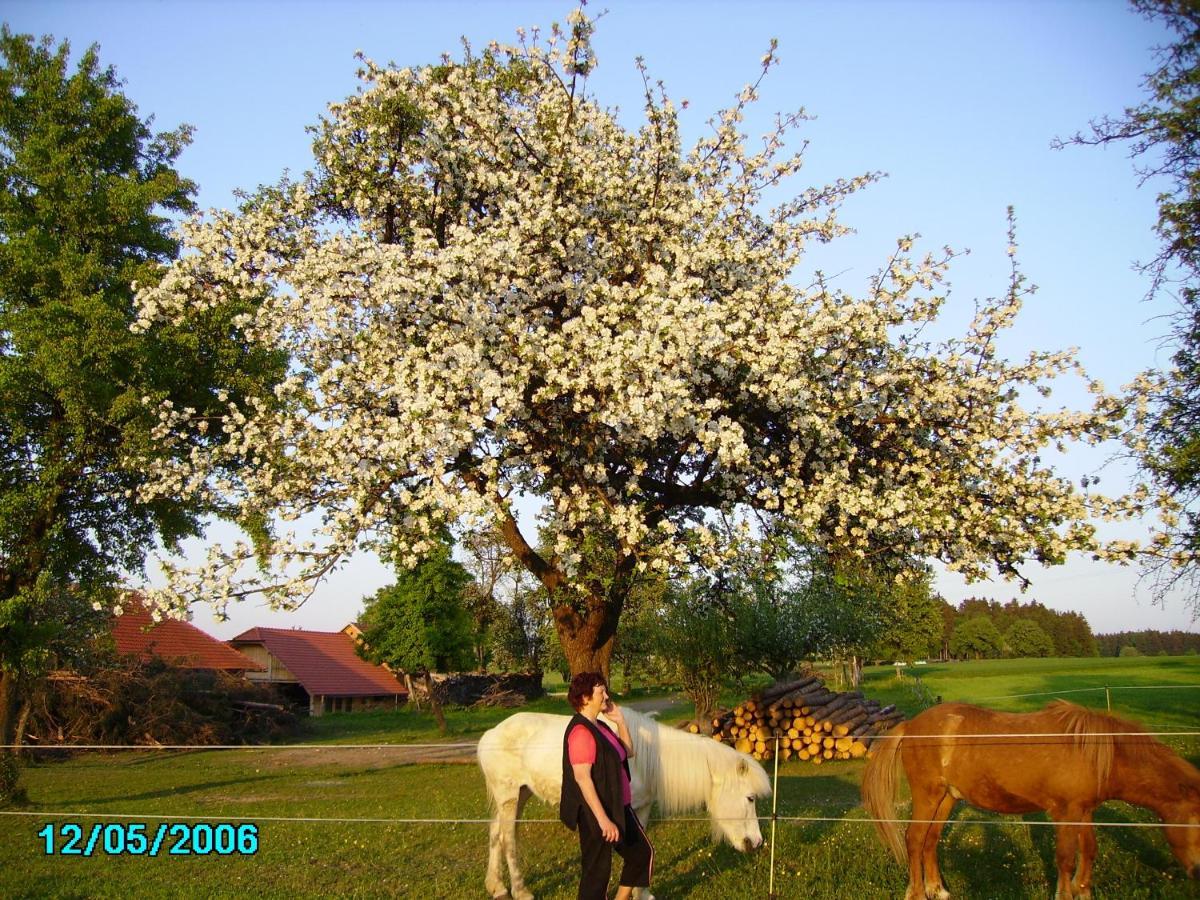 Haag Gestehof Hetzenberg מראה חיצוני תמונה